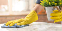Cleaning hygiene, hand of maid, waitress woman wearing yellow protective gloves while cleaning , take out flowerpot from table and using blue rag wiping to dust. Housekeeping clean up, cleaner.